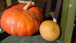 Ближайшая продуктовая ярмарка пройдёт в Пятигорске 26 августа