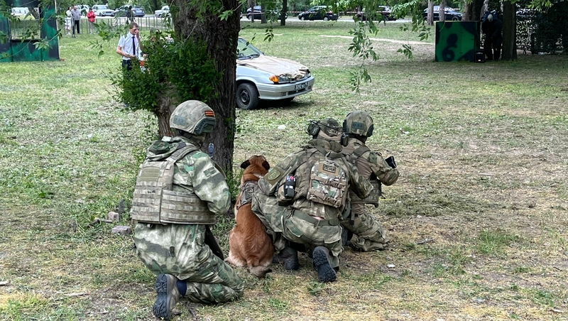 Показательные выступления кинологической службы прошли в Пятигорске