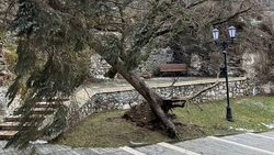 Сильный ветер привёл к коммунальным авариям в Пятигорске