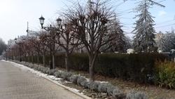 Потепление ожидается в Ставропольском крае в конце недели