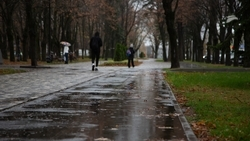 Пасмурная погода и дождь ожидаются в Пятигорске 24 октября