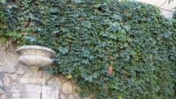 На Кавказских Минеральных Водах отмечают 220-летие курортов