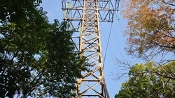 Участок дороги перекроют из-за обрезки деревьев в Пятигорске с 13 по 18 октября