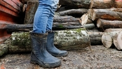 Масштабный субботник пройдёт в Пятигорске 6 апреля