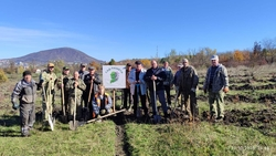 Лесники Ставрополья высадили 1,7 тыс. саженцев клёна и ясеня в ходе акции