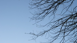 Пасмурная погода ожидает Пятигорск 22 ноября