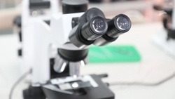 Три технопарка «Кванториум» начали работу в этом году на Ставрополье