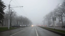 Пасмурная погода, туман и дожди ожидаются на КМВ с 30 сентября по 2 октября