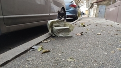 Ветер в Пятигорске 6 марта усилится до 17 м/с