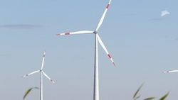 Глава СтГАУ Ситников: Ставропольский край станет кадровым центром по развитию зелёной энергетики