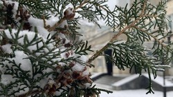 Небольшой снег ожидается в Пятигорске 17 февраля