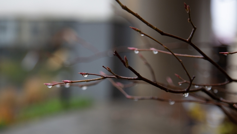 Небольшой дождь и пасмурная погода ожидает Пятигорск 5 сентября