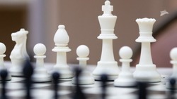 Юная пятигорчанка вошла в топ-20 шахматистов по итогам первенства Азии