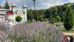 Пятигорчан и гостей города приглашают отдать ненужную одежду