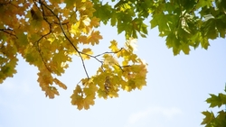 Сильный ветер и малооблачная погода ожидаются в Пятигорске 6 ноября