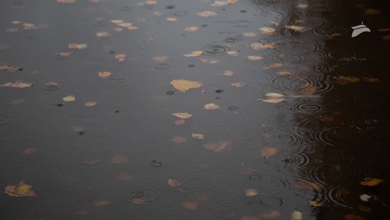 МЧС предупреждает о сильных дождях, граде и ветре на Ставрополье