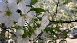 Безоблачная погода ожидается 16 апреля в Пятигорске