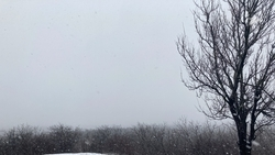 Пасмурная погода ожидается в Пятигорске 9 декабря