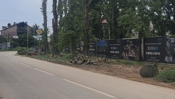 Мэрия Пятигорска обязала застройщика возместить стоимость срубленных деревьев 
