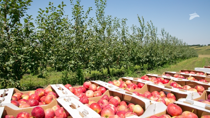 Бизнесмены на Ставрополье активно пользуются мерами господдержки