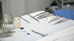 Музей Ессентуков рассказал о работе сына Клары Цеткин главврачом в госпитале