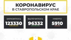 За минувшие сутки от коронавируса вылечились 847 жителей Ставрополья