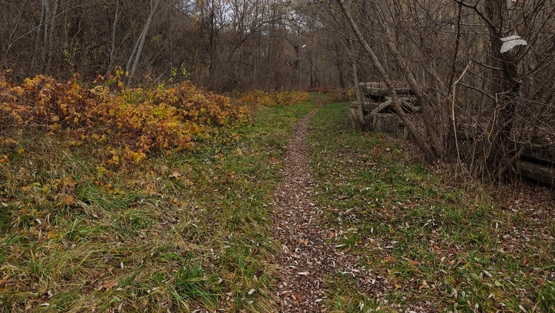 Охранная зона появилась у памятника природы «Гора Лысая» на Ставрополье 