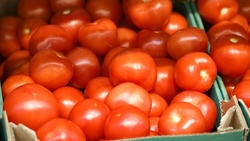 Ставрополье в десятке регионов-лидеров по росту товарооборота