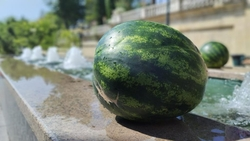 Фруктовый городок для детей откроют на фестивале «КислоVольт-220»