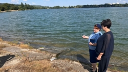 Рыба в озере погибла из-за гипоксии — администрация Пятигорска