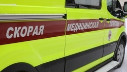 Разгрузить работу скорой медицинской помощи планируют на Ставрополье