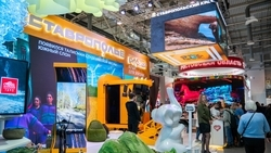 День базовых секторов промышленности проведут на выставке в Москве