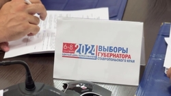 Мэр Пятигорска проголосовал на выборах губернатора Ставропольского края