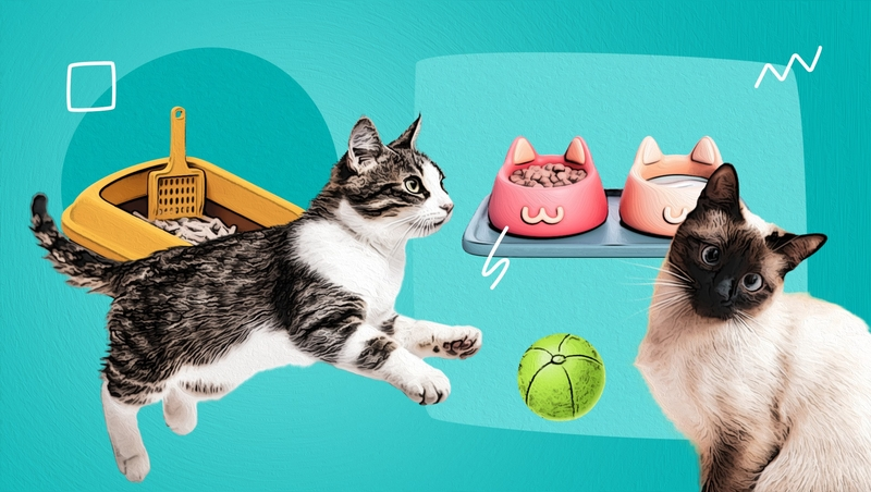 Следить за здоровьем и не допускать стресса: как защитить домашних кошек от мочекаменной болезни