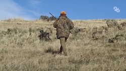 На территории Ставропольского края в 2023 году запретили охотиться весной