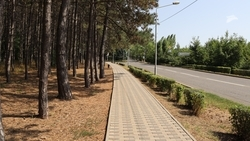 Порывы ветра в Пятигорске 19 июля составят до 9 м/с