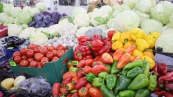 Финальная осенняя ярмарка состоится в Пятигорске 23 ноября