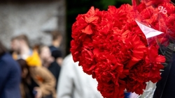 Герои Северного Кавказа: ставропольцам напомнили о подвигах уроженцев СКФО