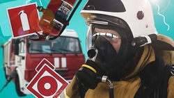 Получится ли из вас хороший спасатель — тест