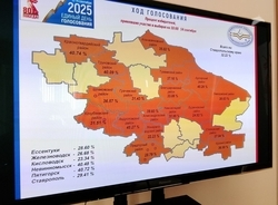 Почти 455 тыс. избирателей проголосовали на муниципальных выборах на Ставрополье