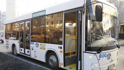 Срок эксплуатации автобусов на Ставрополье планируется ограничить 10 годами