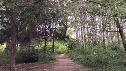 На Ставрополье ликвидировали 1,4 тысячи свалок