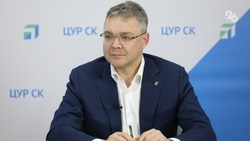 Губернатор Владимиров встретился с активистами «Движения первых»