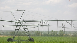 Более 1 млрд рублей выделят на поддержку мелиорации на Ставрополье