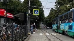 На КМВ будут модернизировать электротранспорт