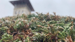 Небольшой вечерний дождь ожидается в Пятигорске 11 декабря