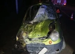 На Ставрополье лошадь пробила лобовое стекло машины и травмировала пассажирку