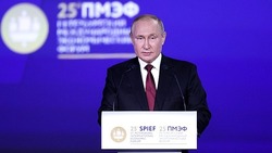 Путин: «Объем наших поставок зерна в будущем сезоне может вырасти до 50 миллионов тонн» 