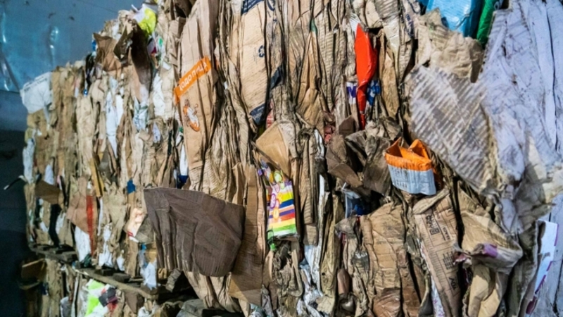 Более 85 процентов мусора на Ставрополье проходит сортировку