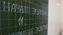 11 школьников сдадут ЕГЭ досрочно на Ставрополье